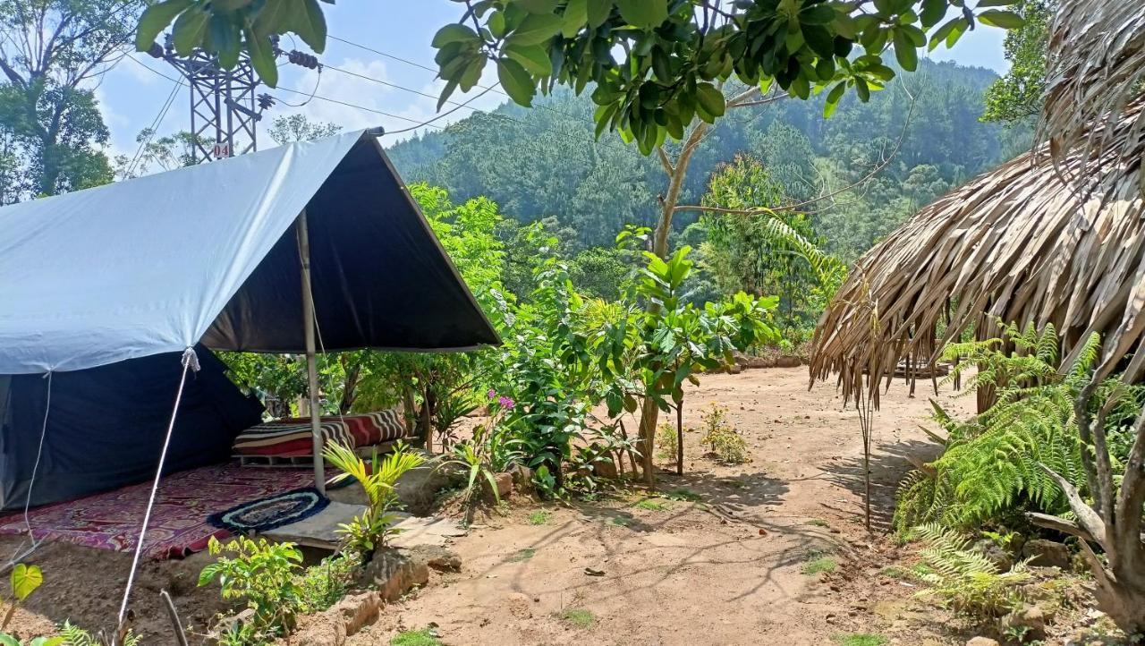 Freedom Camp Ella Hotel Ngoại thất bức ảnh