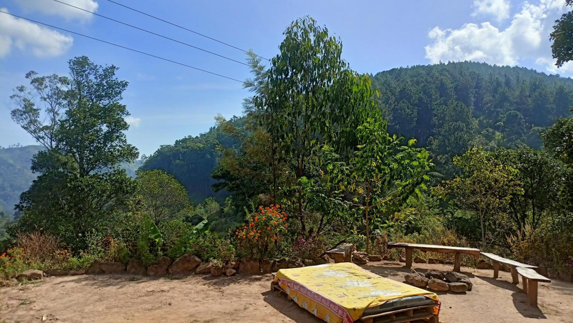 Freedom Camp Ella Hotel Ngoại thất bức ảnh